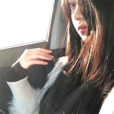 花园蜘蛛